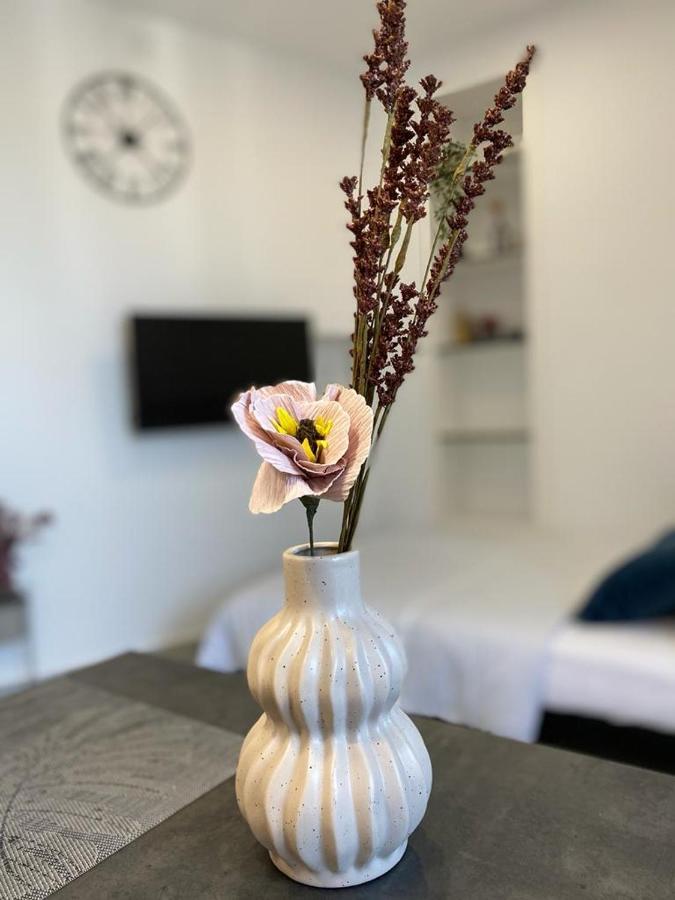 City Vibes Apartment 普拉 外观 照片